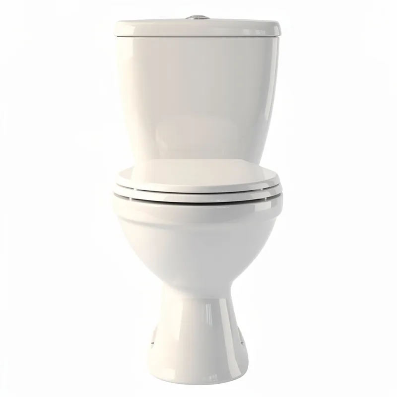 Remplacement de WC Maisons-Laffitte 78600 - Dépannage 7j/7 — Devis gratuit